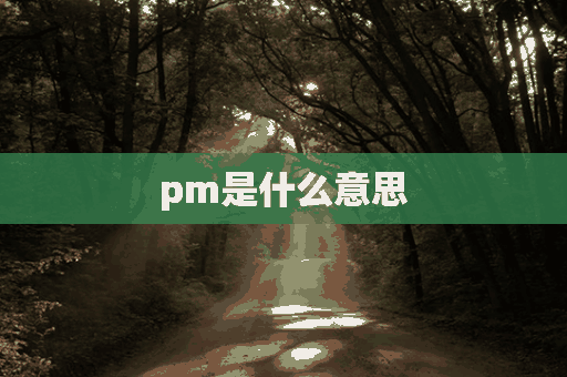 pm是什么意思